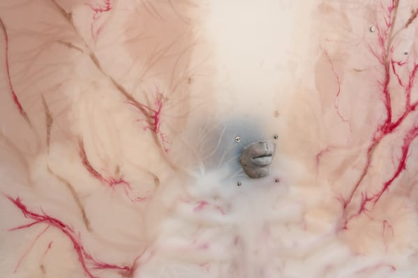 New Currents: Xin Liu